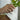 Circle Ring Roségold – am Finger getragen – Fairmined Gold Schmuck Berlin