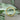 Circle Ring Gelbgold – Seitenansicht – Fairmined Gold Schmuck Berlin